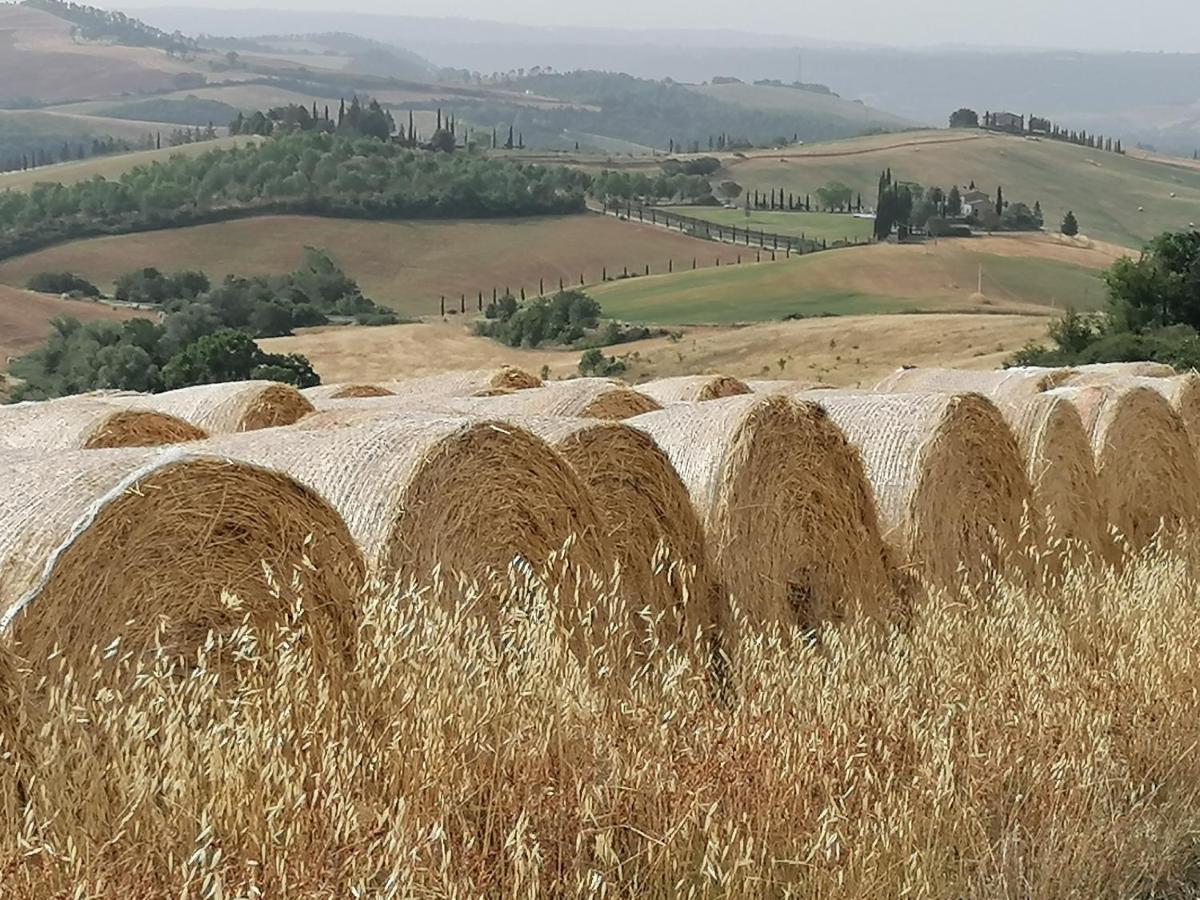 Casa Vacanze Carducci San Casciano dei Bagni Eksteriør bilde